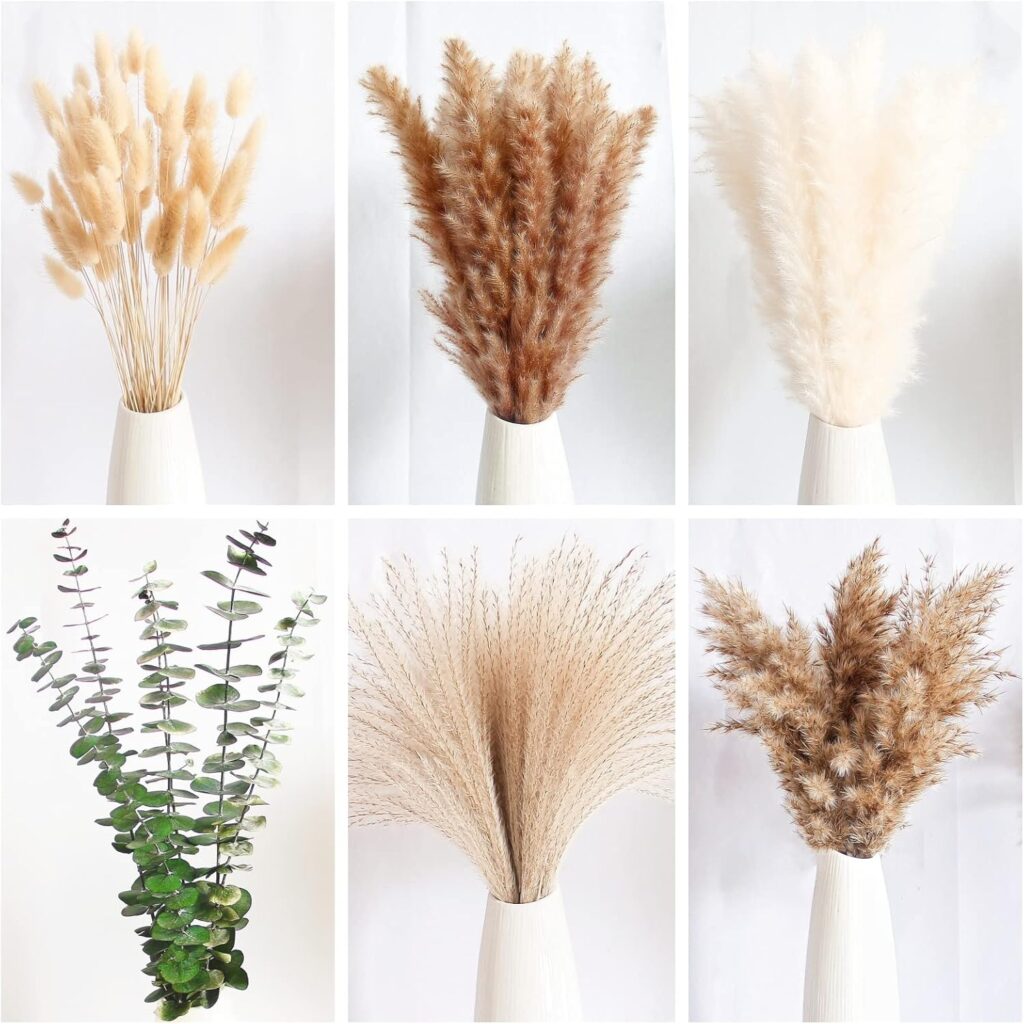 dried pampas grass