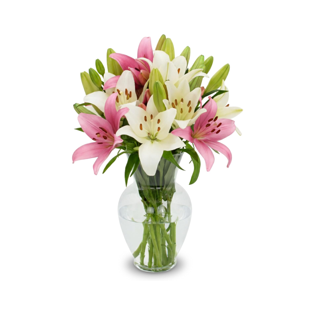 fresh flowers amazon